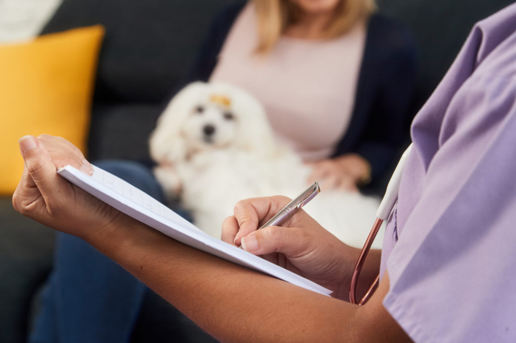 Young latina woman working as veterinary